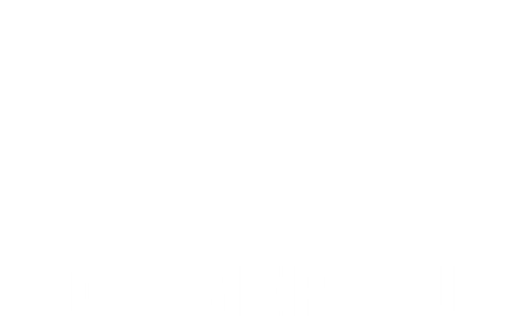 CyberVu logo